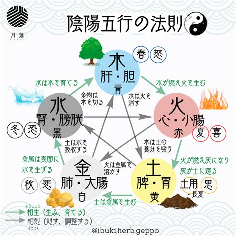 陰陽 五行|「陰陽五行説」とは？